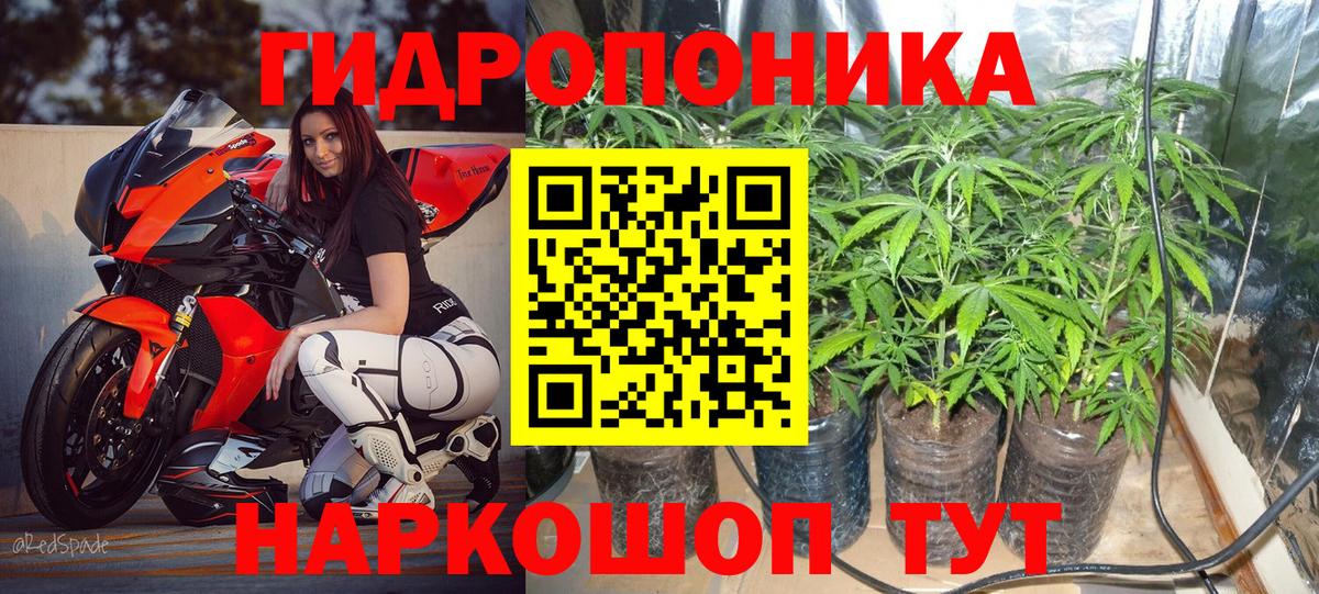 Конопля марихуана  Каннабис гибрид  Светлоград  Вход с VPN 